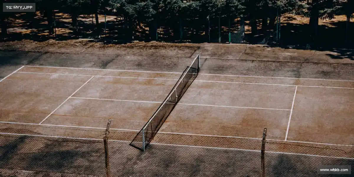 必一运动🏃♂️运动不止,热爱不息 —— 你的体育主场,等你开启!